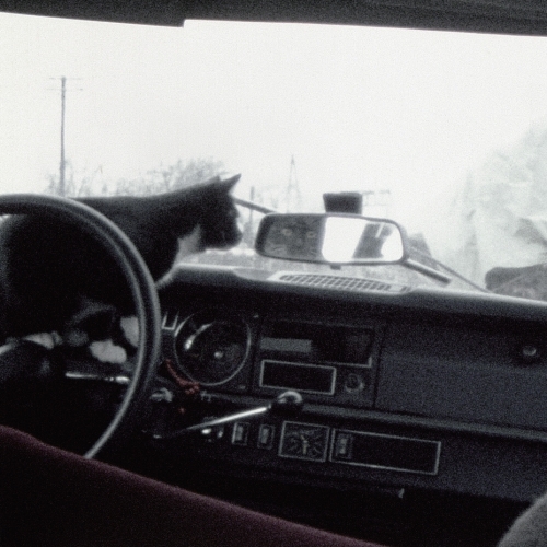 First Trip to Bologna 1978 / Last Trip to Venice 1985