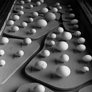 Show: GRAVITATION (Eng.)