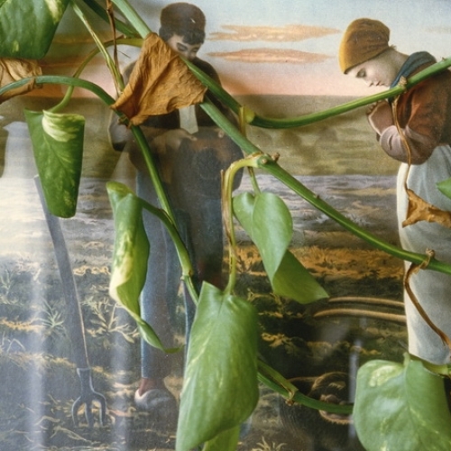  At Home in East Berlin/Zu Hause in Berlin-Ost, 1985-1987